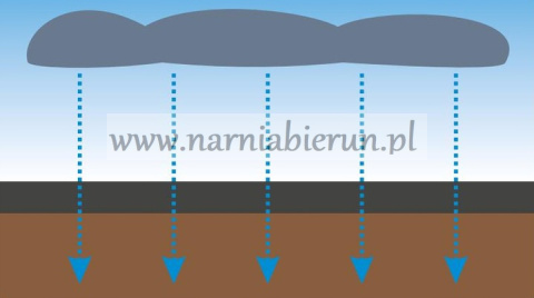 Agrotkanina 1,1x100 m 70 g/m2 przeciw chwastą Agrotkanina 1,1x100 m 70 g/m2 przeciw chwastą
