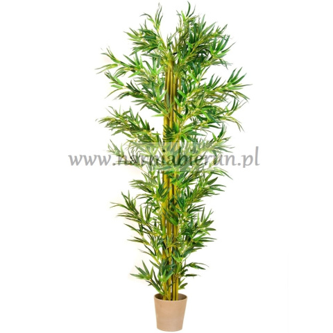 DUZE SZTUCZNE DRZEWO KWIATY DRZEWKO BAMBUS 220 CM POWYSTAWOWY DUZE SZTUCZNE DRZEWO KWIATY DRZEWKO BAMBUS 220 CM POWYSTAWOWY