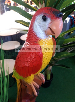 Figurka ogrodowa Papuga Ara 85cm