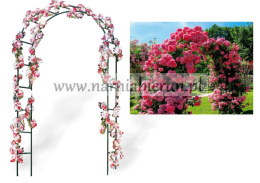 Pergola ogrodowa łukowa łuk metalowa 240cm pnącza róże