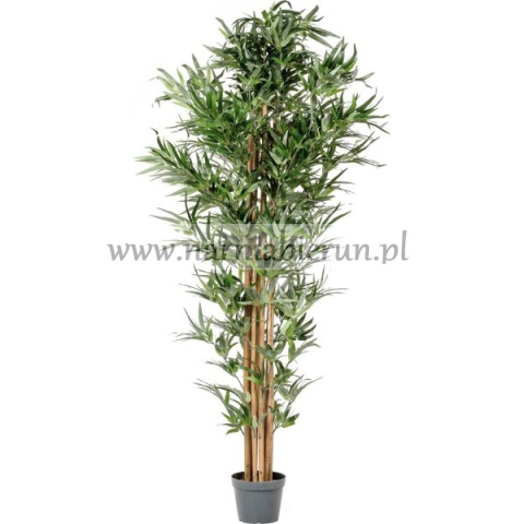 SZTUCZNE DRZEWKA KWIATY DRZEWKO BAMBUS 190 CM SZTUCZNE DRZEWKA KWIATY DRZEWKO BAMBUS 190 CM