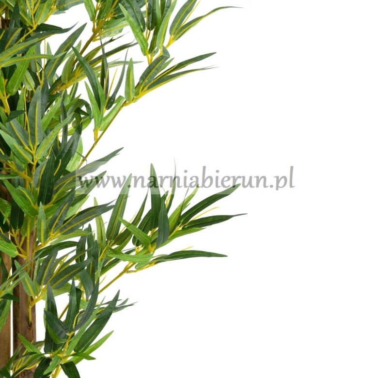 SZTUCZNE DRZEWO BAMBUS 160CM > Plantasia > Najlepsze produkty w Bieruniu  dla ogrodu i domu