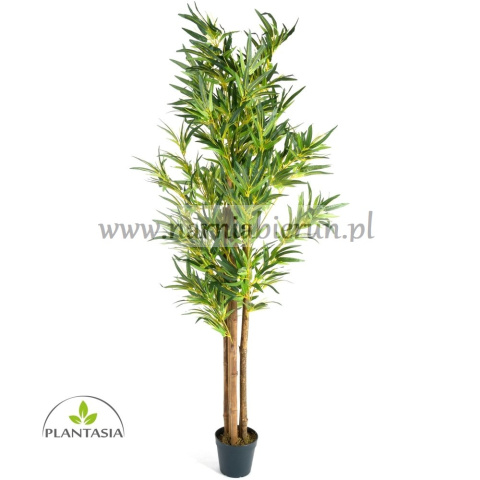 SZTUCZNE DRZEWO BAMBUS 160CM SZTUCZNE DRZEWO BAMBUS 160CM