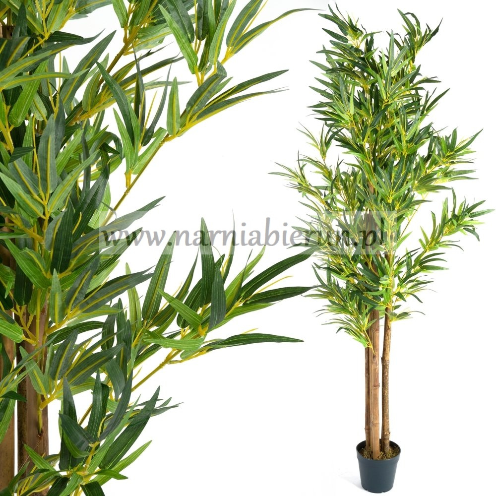 SZTUCZNE DRZEWO BAMBUS 160CM > Plantasia > Najlepsze produkty w Bieruniu  dla ogrodu i domu