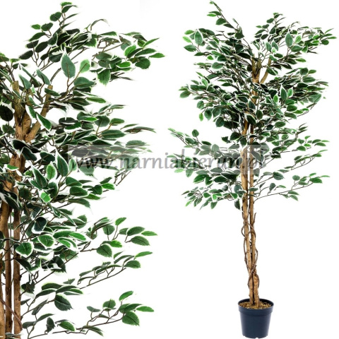 SZTUCZNE DRZEWO FIKUS BENJAMIN 160 CM SZTUCZNE DRZEWO FIKUS BENJAMIN 160 CM