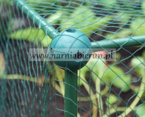 Siatka ogrodowa zabiezpieczająca 2x3m + 6 plastikowych szpilek Siatka ogrodowa zabiezpieczająca 2x3m + 6 plastikowych szpilek