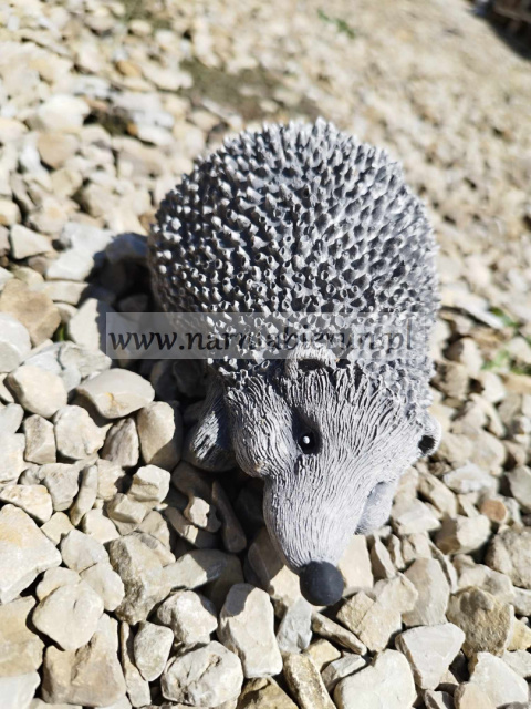 Figurka betonowa Jeż jeżyk 14 cm Figurka betonowa Jeż jeżyk 14 cm