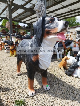 Figurka ogrodowa Pies pasterski bernejski BERNEJCZYK H80 cm