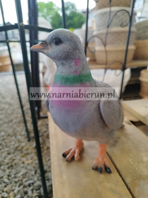 Figurka z żywicy GOŁĄB GOŁĄBEK PTAK 20 cm Figurka z żywicy GOŁĄB GOŁĄBEK PTAK 20 cm