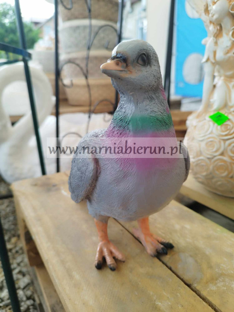 Figurka z żywicy GOŁĄB GOŁĄBEK PTAK 20 cm Figurka z żywicy GOŁĄB GOŁĄBEK PTAK 20 cm