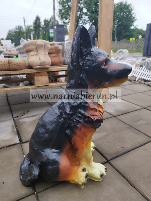 Figurka z żywicy Pies Owczarek 60 cm Figurka z żywicy Pies Owczarek 60 cm