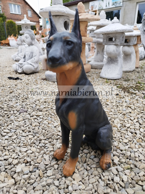 Figurka z żywicy Pies Piesek Doberman 38 cm Figurka z żywicy Pies Piesek Doberman 38 cm