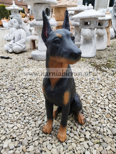 Figurka z żywicy Pies Piesek Doberman 38 cm Figurka z żywicy Pies Piesek Doberman 38 cm