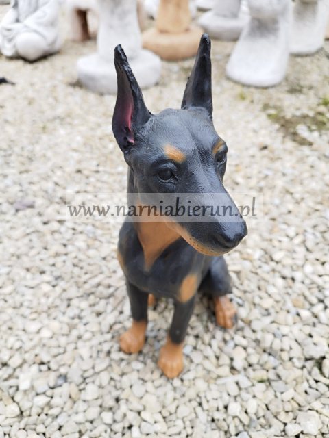 Figurka z żywicy Pies Piesek Doberman 38 cm Figurka z żywicy Pies Piesek Doberman 38 cm