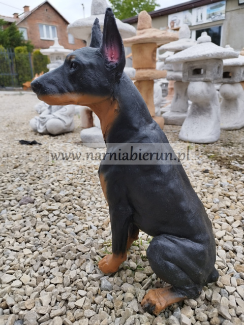 Figurka z żywicy Pies Piesek Doberman 38 cm Figurka z żywicy Pies Piesek Doberman 38 cm