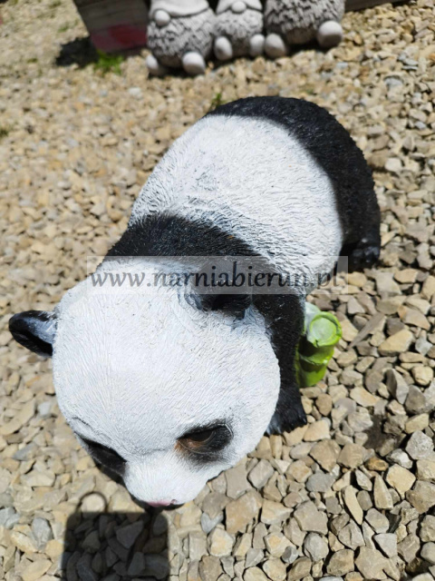 Figurka z żywicy Panda mała z bambusem 30 cm Figurka z żywicy Panda mała z bambusem 30 cm