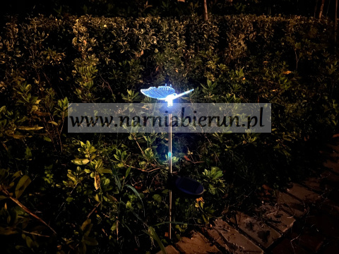 LAMPA SOLARNA WAŻKA MOTYL KOLIBER OZDOBA ŚWIECĄCA LED LAMPA SOLARNA WAŻKA MOTYL KOLIBER OZDOBA ŚWIECĄCA LED
