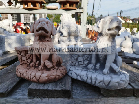 Figurka betonowa donica PIES Z DONICZKĄ 18 cm Figurka betonowa donica PIES Z DONICZKĄ 18 cm
