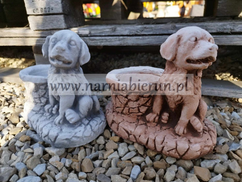 Figurka betonowa donica PIES Z DONICZKĄ 18 cm Figurka betonowa donica PIES Z DONICZKĄ 18 cm