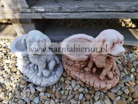 Figurka betonowa donica PIES Z DONICZKĄ 18 cm Figurka betonowa donica PIES Z DONICZKĄ 18 cm
