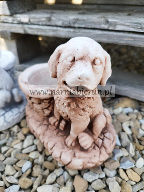 Figurka betonowa donica PIES Z DONICZKĄ 18 cm Figurka betonowa donica PIES Z DONICZKĄ 18 cm