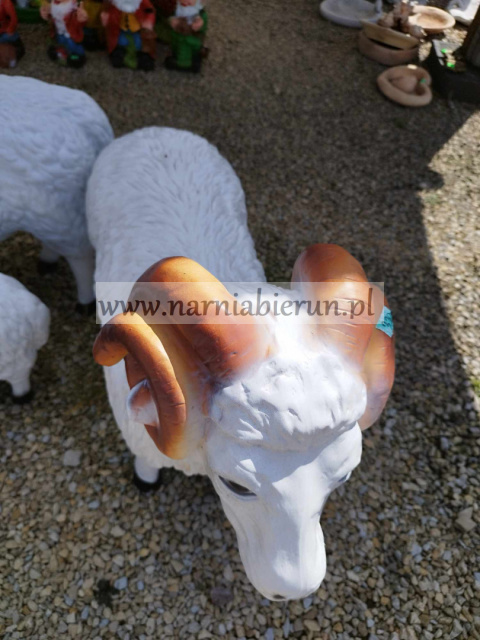 Figurka z żywicy Baran duża baranek 85 cm Figurka z żywicy Baran duża baranek 85 cm