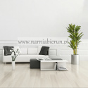 Drzewko Dracena 120cm Smocze drzewko
