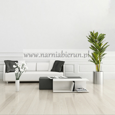 Drzewko Dracena 120cm Smocze drzewko Drzewko Dracena 120cm Smocze drzewko