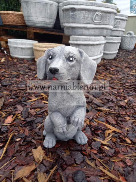 Figurka betonowa Jamnik siedzący 27 cm Figurka betonowa Jamnik siedzący 27 cm