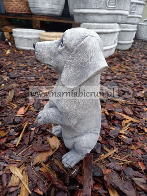 Figurka betonowa Jamnik siedzący 27 cm Figurka betonowa Jamnik siedzący 27 cm