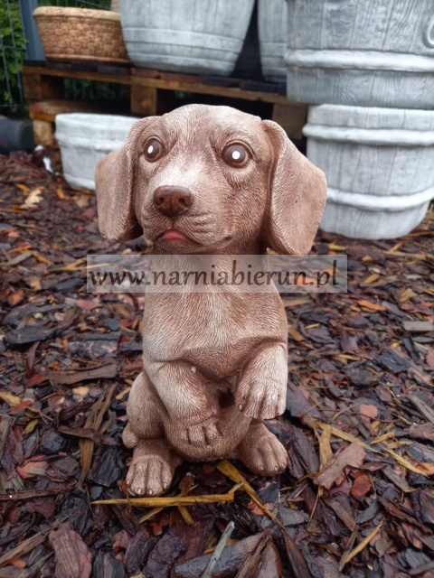 Figurka betonowa Jamnik siedzący 27 cm Figurka betonowa Jamnik siedzący 27 cm