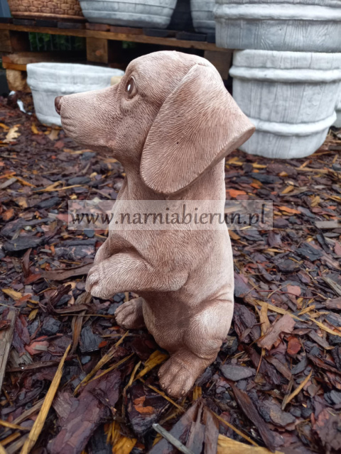 Figurka betonowa Jamnik siedzący 27 cm Figurka betonowa Jamnik siedzący 27 cm
