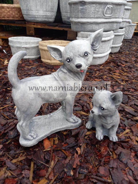 Figurka betonowa PAKIET CHIHUAHUA DUŻY I MAŁY Figurka betonowa PAKIET CHIHUAHUA DUŻY I MAŁY