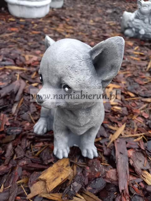 Figurka betonowa PAKIET CHIHUAHUA DUŻY I MAŁY Figurka betonowa PAKIET CHIHUAHUA DUŻY I MAŁY