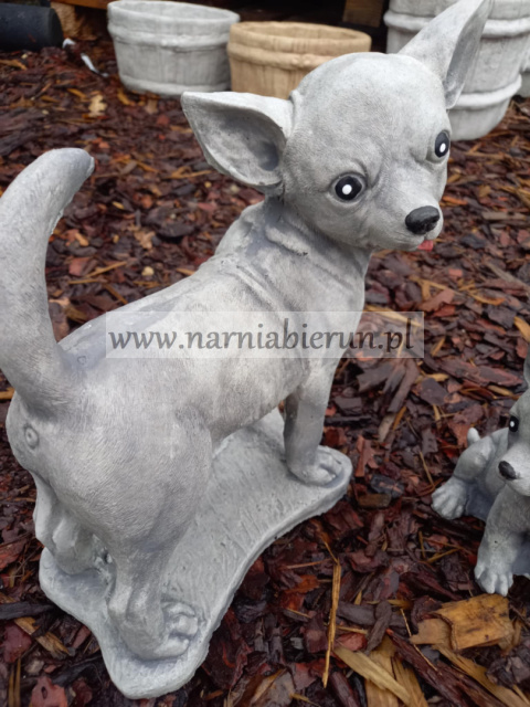 Figurka betonowa PAKIET CHIHUAHUA DUŻY I MAŁY Figurka betonowa PAKIET CHIHUAHUA DUŻY I MAŁY