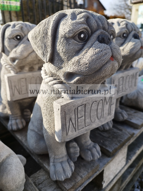 Figurka betonowa PIES BULDOG WELCOME 28 cm Figurka betonowa PIES BULDOG WELCOME 28 cm