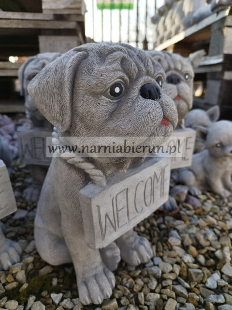 Figurka betonowa PIES BULDOG WELCOME 28 cm Figurka betonowa PIES BULDOG WELCOME 28 cm