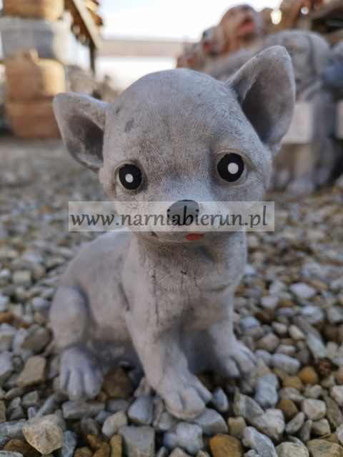 Figurka betonowa PIES CHIHUAHUA MAŁY 18 cm Figurka betonowa PIES CHIHUAHUA MAŁY 18 cm
