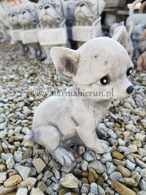 Figurka betonowa PIES CHIHUAHUA MAŁY 18 cm Figurka betonowa PIES CHIHUAHUA MAŁY 18 cm