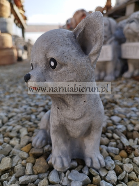 Figurka betonowa PIES CHIHUAHUA MAŁY 18 cm Figurka betonowa PIES CHIHUAHUA MAŁY 18 cm