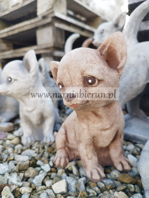 Figurka betonowa PIES CHIHUAHUA MAŁY 18 cm Figurka betonowa PIES CHIHUAHUA MAŁY 18 cm