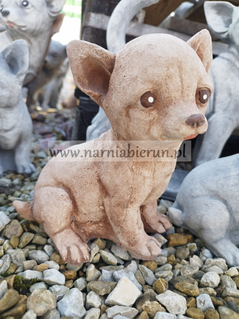 Figurka betonowa PIES CHIHUAHUA MAŁY 18 cm Figurka betonowa PIES CHIHUAHUA MAŁY 18 cm