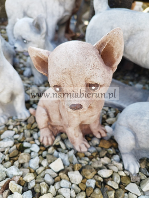 Figurka betonowa PIES CHIHUAHUA MAŁY 18 cm Figurka betonowa PIES CHIHUAHUA MAŁY 18 cm