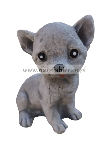 Figurka betonowa PIES CHIHUAHUA MAŁY 18 cm Figurka betonowa PIES CHIHUAHUA MAŁY 18 cm