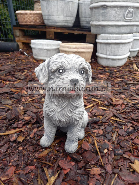 Figurka betonowa PIES SHIH TZU 26 cm Figurka betonowa PIES SHIH TZU 26 cm