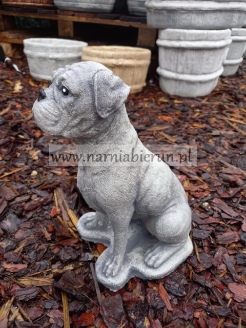 Figurka betonowa BOKSER BOXER 28 cm Figurka betonowa BOKSER BOXER 28 cm