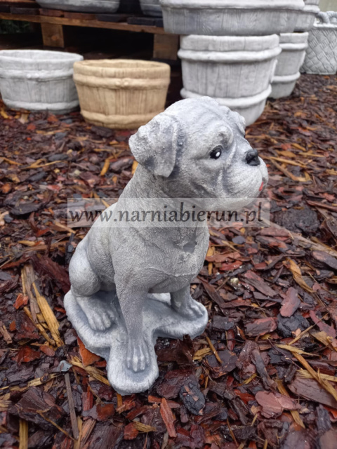 Figurka betonowa BOKSER BOXER 28 cm Figurka betonowa BOKSER BOXER 28 cm