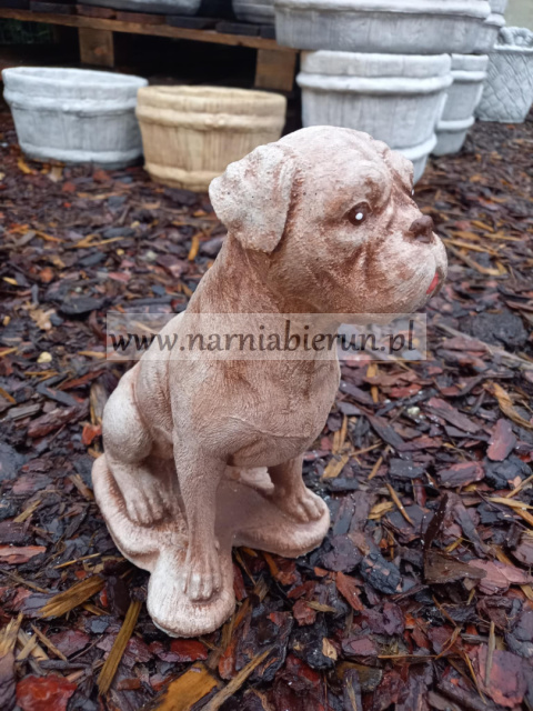 Figurka betonowa BOKSER BOXER 28 cm Figurka betonowa BOKSER BOXER 28 cm