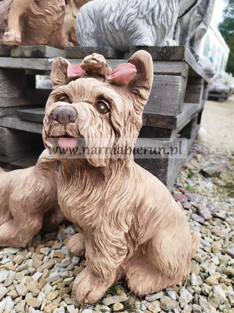 Figurka betonowa PIES YORK SIEDZĄCY 36 cm Figurka betonowa PIES YORK SIEDZĄCY 36 cm