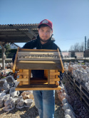 Karmnik drewniany Karmniki dla ptaków do ogrodu CHATKA żółta